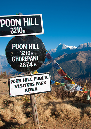 Ghorepani Poon Hill Trek